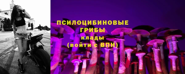 синтетический гашиш Кинешма