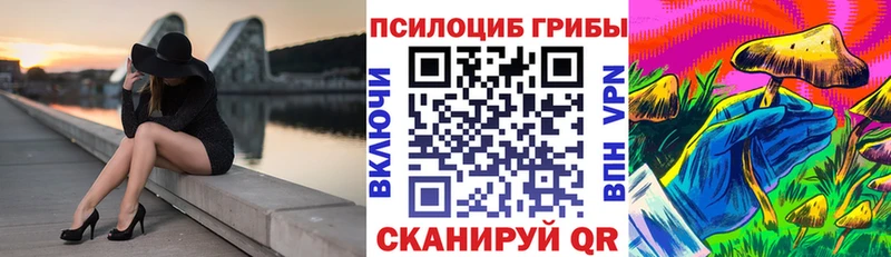 Галлюциногенные грибы Psilocybe  МЕГА   Черноголовка  купить наркотики сайты 
